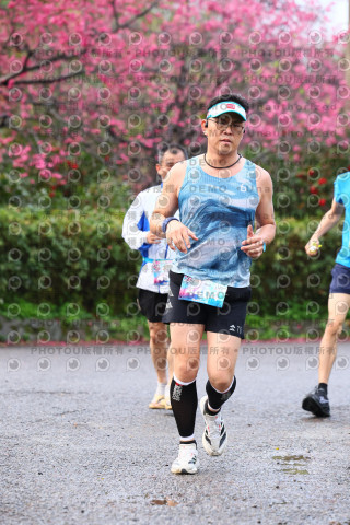 2026左岸竹東櫻花馬拉松Zhudong Sakura Marathon