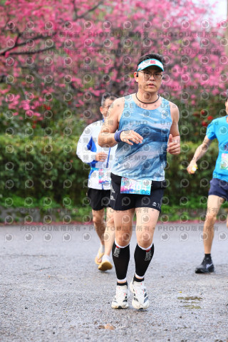 2026左岸竹東櫻花馬拉松Zhudong Sakura Marathon