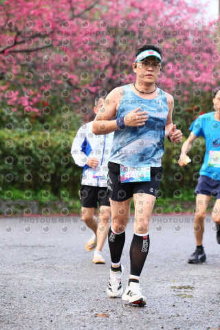 2026左岸竹東櫻花馬拉松Zhudong Sakura Marathon