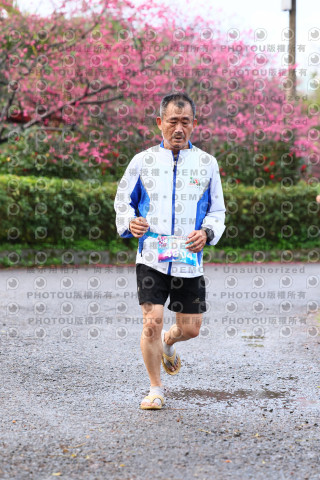 2026左岸竹東櫻花馬拉松Zhudong Sakura Marathon