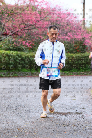 2026左岸竹東櫻花馬拉松Zhudong Sakura Marathon