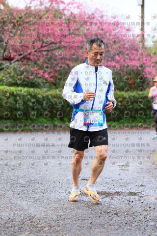 2026左岸竹東櫻花馬拉松Zhudong Sakura Marathon