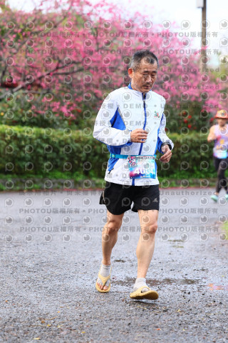 2026左岸竹東櫻花馬拉松Zhudong Sakura Marathon
