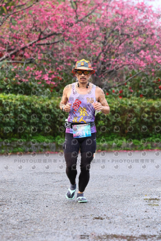2026左岸竹東櫻花馬拉松Zhudong Sakura Marathon