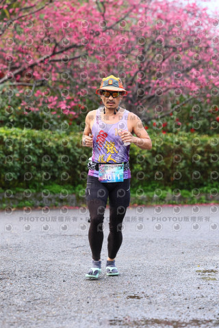 2026左岸竹東櫻花馬拉松Zhudong Sakura Marathon