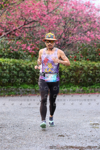 2026左岸竹東櫻花馬拉松Zhudong Sakura Marathon