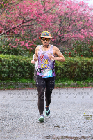 2026左岸竹東櫻花馬拉松Zhudong Sakura Marathon
