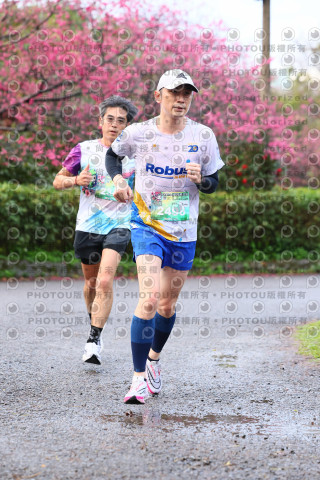 2026左岸竹東櫻花馬拉松Zhudong Sakura Marathon