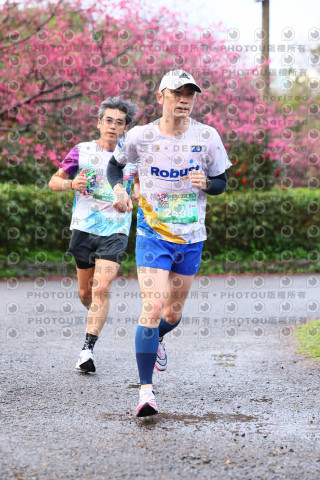 2026左岸竹東櫻花馬拉松Zhudong Sakura Marathon
