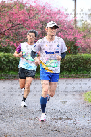 2026左岸竹東櫻花馬拉松Zhudong Sakura Marathon