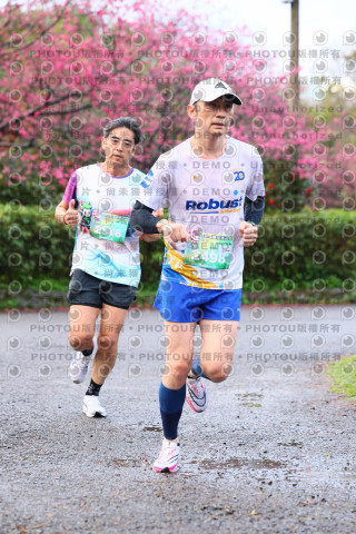 2026左岸竹東櫻花馬拉松Zhudong Sakura Marathon