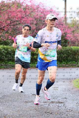2026左岸竹東櫻花馬拉松Zhudong Sakura Marathon