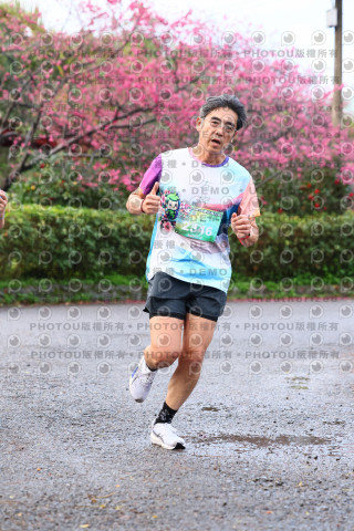 2026左岸竹東櫻花馬拉松Zhudong Sakura Marathon