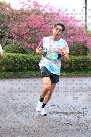 2026左岸竹東櫻花馬拉松Zhudong Sakura Marathon