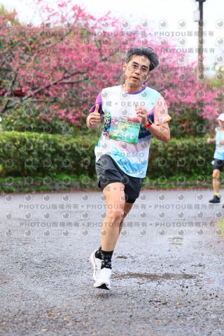 2026左岸竹東櫻花馬拉松Zhudong Sakura Marathon