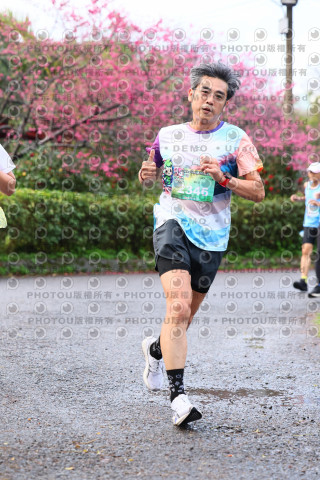 2026左岸竹東櫻花馬拉松Zhudong Sakura Marathon