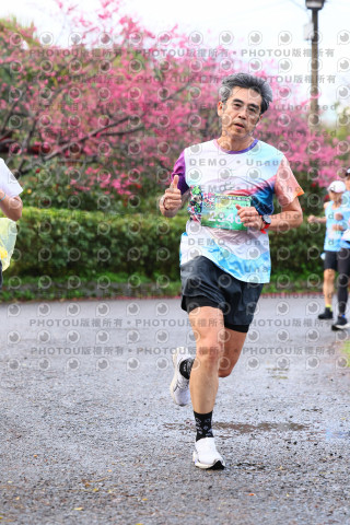 2026左岸竹東櫻花馬拉松Zhudong Sakura Marathon