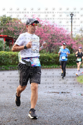 2026左岸竹東櫻花馬拉松Zhudong Sakura Marathon