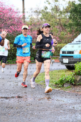 2026左岸竹東櫻花馬拉松Zhudong Sakura Marathon