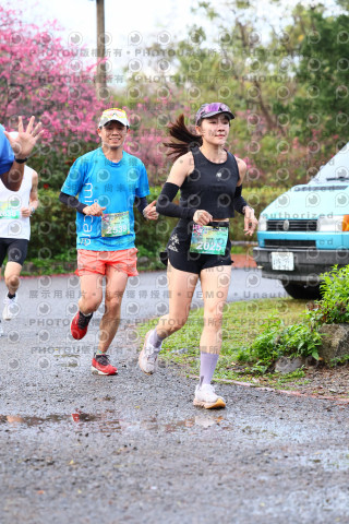 2026左岸竹東櫻花馬拉松Zhudong Sakura Marathon