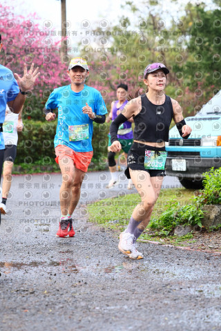 2026左岸竹東櫻花馬拉松Zhudong Sakura Marathon