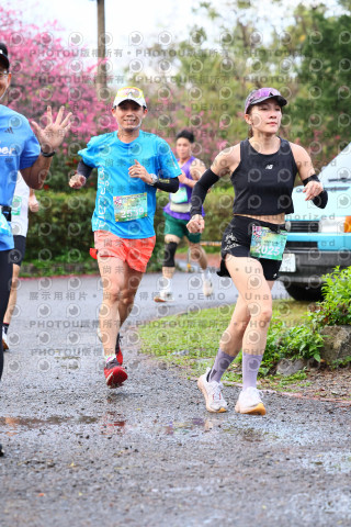 2026左岸竹東櫻花馬拉松Zhudong Sakura Marathon
