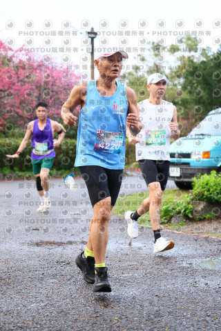 2026左岸竹東櫻花馬拉松Zhudong Sakura Marathon