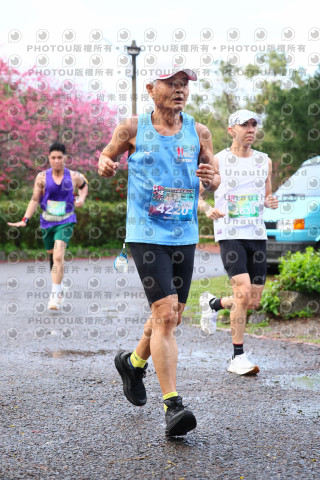 2026左岸竹東櫻花馬拉松Zhudong Sakura Marathon