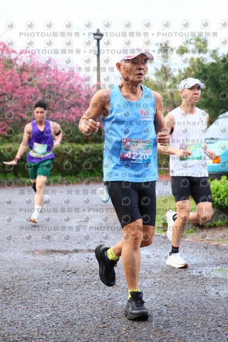 2026左岸竹東櫻花馬拉松Zhudong Sakura Marathon