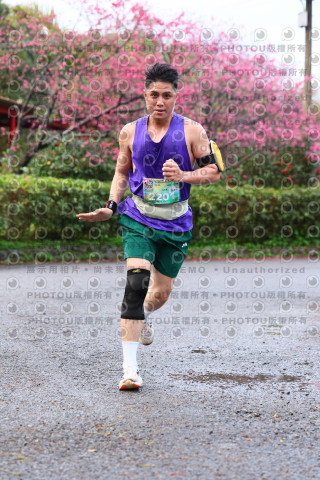 2026左岸竹東櫻花馬拉松Zhudong Sakura Marathon