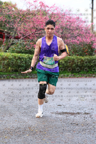2026左岸竹東櫻花馬拉松Zhudong Sakura Marathon