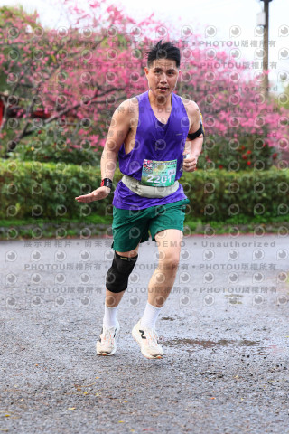2026左岸竹東櫻花馬拉松Zhudong Sakura Marathon