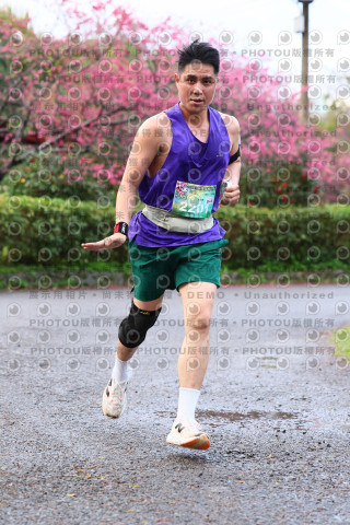 2026左岸竹東櫻花馬拉松Zhudong Sakura Marathon