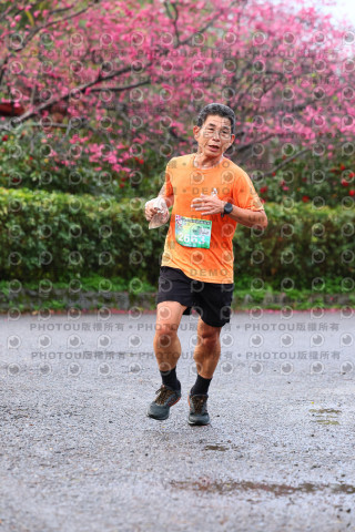 2026左岸竹東櫻花馬拉松Zhudong Sakura Marathon
