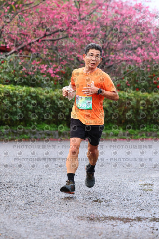 2026左岸竹東櫻花馬拉松Zhudong Sakura Marathon
