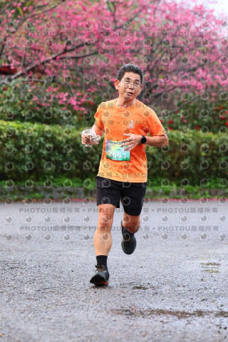 2026左岸竹東櫻花馬拉松Zhudong Sakura Marathon
