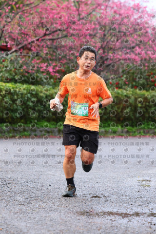 2026左岸竹東櫻花馬拉松Zhudong Sakura Marathon