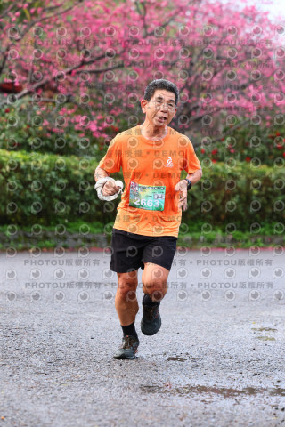 2026左岸竹東櫻花馬拉松Zhudong Sakura Marathon