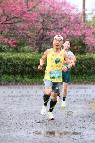 2026左岸竹東櫻花馬拉松Zhudong Sakura Marathon