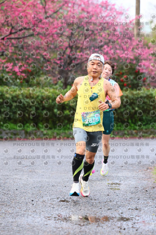 2026左岸竹東櫻花馬拉松Zhudong Sakura Marathon