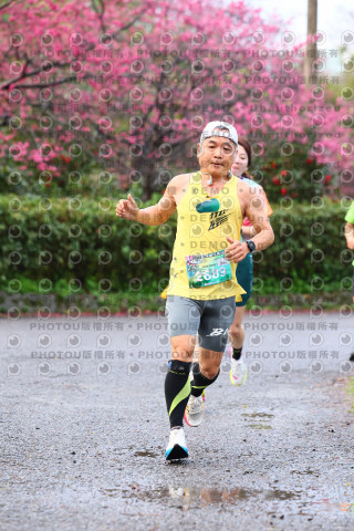 2026左岸竹東櫻花馬拉松Zhudong Sakura Marathon