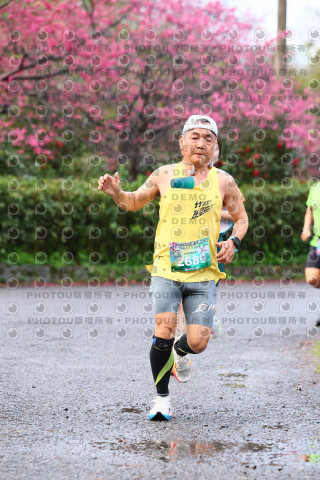 2026左岸竹東櫻花馬拉松Zhudong Sakura Marathon