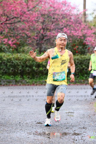 2026左岸竹東櫻花馬拉松Zhudong Sakura Marathon