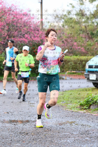 2026左岸竹東櫻花馬拉松Zhudong Sakura Marathon