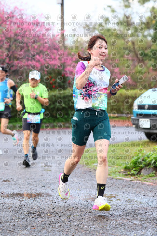 2026左岸竹東櫻花馬拉松Zhudong Sakura Marathon