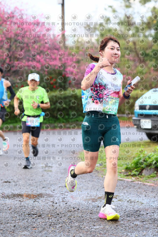 2026左岸竹東櫻花馬拉松Zhudong Sakura Marathon
