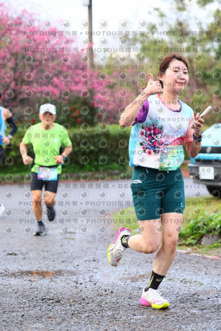 2026左岸竹東櫻花馬拉松Zhudong Sakura Marathon