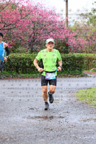 2026左岸竹東櫻花馬拉松Zhudong Sakura Marathon