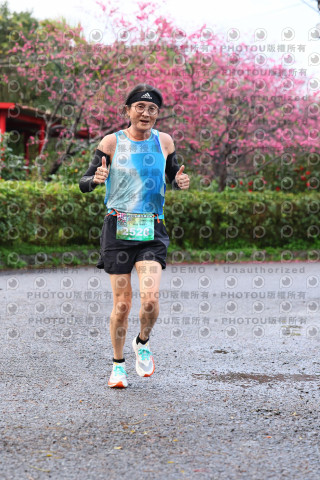 2026左岸竹東櫻花馬拉松Zhudong Sakura Marathon