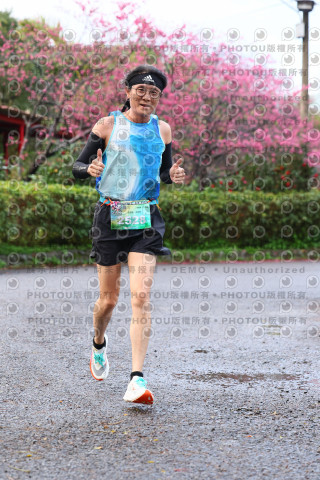 2026左岸竹東櫻花馬拉松Zhudong Sakura Marathon
